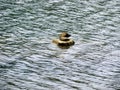 Duck shape stone in middle of water