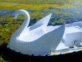 Duck shaped Boat