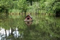 Duck shelter on lake Royalty Free Stock Photo