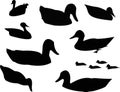 Duck Silhouette Animal Clip Art Royalty Free Stock Photo