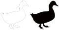 Duck silhouette - aquatic farm or wildlife bird Royalty Free Stock Photo