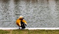 A duck standing on the bank of a pond