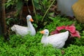 Duck statue in the garden. Royalty Free Stock Photo