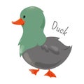 Duck . Sticker for kids. Child fun icon.