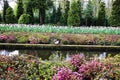 A duck surrounded by numerous beautiful flowers Royalty Free Stock Photo