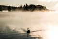 Duck swimming ake of two rivers in algonquin national park ontario canada sunset sunrise with much fog foggy background Royalty Free Stock Photo