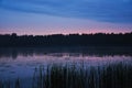 Duck swimming on the lake in twilight at sunset. Reeds on the coast. Summer rural landscape