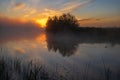 The duck swimming on the sunrise river