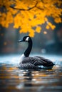 Duck swims in pond with yellow leaves floating on top of the water. Generative AI Royalty Free Stock Photo