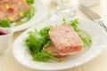 Duck terrine Royalty Free Stock Photo