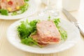Duck terrine with pistachios Royalty Free Stock Photo