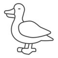 Duck thin line icon, domestic animals concept, domestic fowl sign on white background, Duck bird silhouette icon in