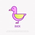 Duck thin line icon