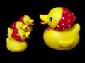 Duck toy Royalty Free Stock Photo