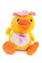 Duck toy Royalty Free Stock Photo