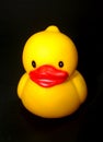 Duck toy 12 Royalty Free Stock Photo