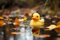 Duck toy in autumn puddle, leaves surround, a playful scene Royalty Free Stock Photo