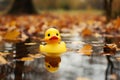 Duck toy in autumn puddle, leaves surround, a playful scene Royalty Free Stock Photo