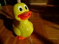 Duck toy staring at a sun Royalty Free Stock Photo