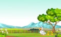 Duck With Two Ducklings In GRass Field with Mountain Range Cartoon Royalty Free Stock Photo