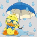 Duck with umbrella