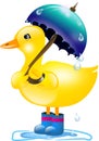 Duck with umbrella in rain