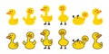 duck vector icon cartoon yellow rubber duck logo shower bathroom bird chicken character symbol doodle illustration design Royalty Free Stock Photo