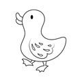 A Duck Colorless