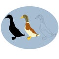 Duck vector illustration style Flat black Royalty Free Stock Photo