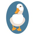 Duck vector illustration style Flat Royalty Free Stock Photo