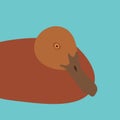 Duck vector illustration style Flat Royalty Free Stock Photo