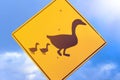 Duck warning road sign. Royalty Free Stock Photo