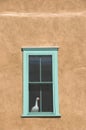 Duck on the window. New Mexico. Royalty Free Stock Photo