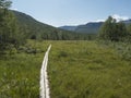 Duckboard pathway in northern artic landscape, tundra in Swedish Lapland with green hills, mountains and birch trees at