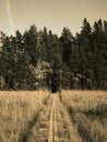 Duckboards on bog. Royalty Free Stock Photo