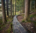 Duckboards in the woods in autumn