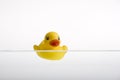 Duckie Royalty Free Stock Photo