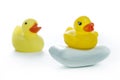 Duckies Royalty Free Stock Photo