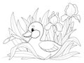 Duckling in the bushes of iris flowers. Coloring book, vector.