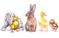 Duckling, goat, cute chick and rabbit watercolor illustration. Easter set. Hand painted card with traditional symbols Royalty Free Stock Photo