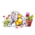 Duckling and goat watercolor illustration. Easter set. Hand painted card with traditional symbols isolated on white Royalty Free Stock Photo