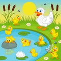 Ducklings with mother duck playing in lake Royalty Free Stock Photo