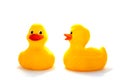 Ducks Royalty Free Stock Photo