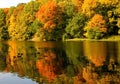 Ducks in the autumn lake against the background of colorful trees and their reflections in the water Royalty Free Stock Photo