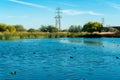 Ducks or birds on a lack with power tower with telephone lines in distance and grasses and bushes with tree background Royalty Free Stock Photo