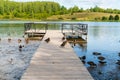 Ducks on a boat dock near the shore of a forest lake. Royalty Free Stock Photo