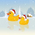 Ducks celebrate Christmas Royalty Free Stock Photo