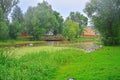 Ducks on the coast of the river Trubezh in Pereslavl-Zalessky, Russia Royalty Free Stock Photo