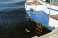 Ducks and ducklings are resting on a yacht stern