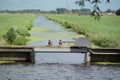 Ducks in a Dutch landscape Royalty Free Stock Photo